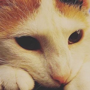 Meet your Posher, Lydia jo